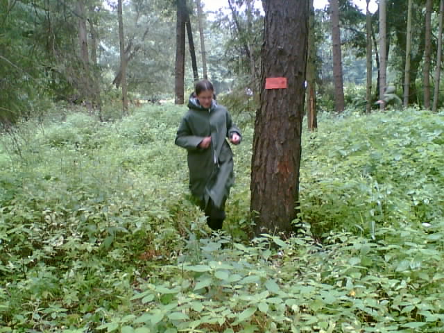 hra v lese 1